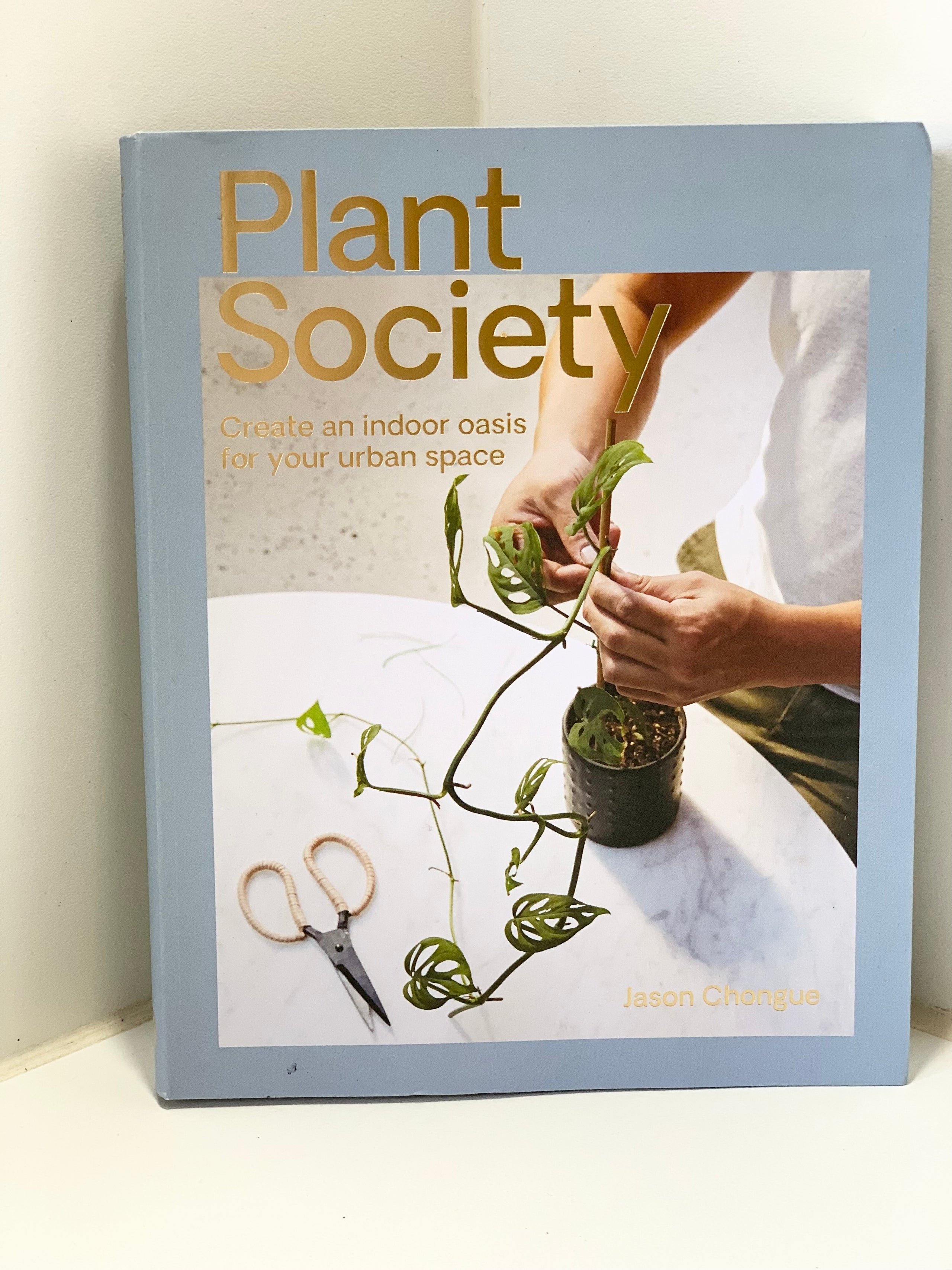 Plant Society | Di-vine plants